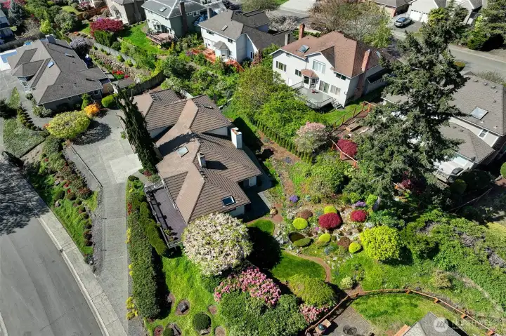 Aerial view of the home and almost 17,000 sf lot.