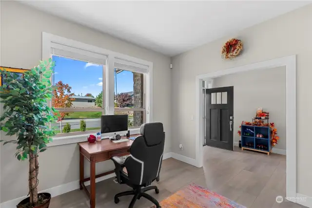 Entry /  Office with Barn Door, and a View