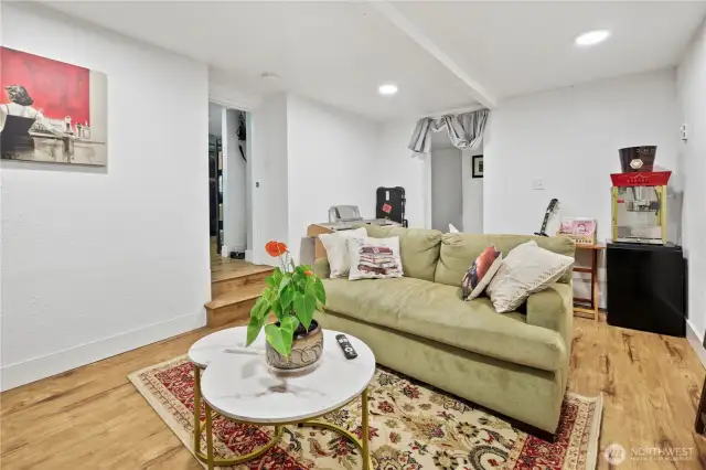 Great size den downstairs with large storage closet