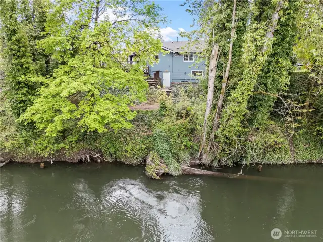 Privacy from the mature trees