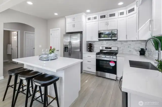 Newly Remodeled Chefs Kitchen