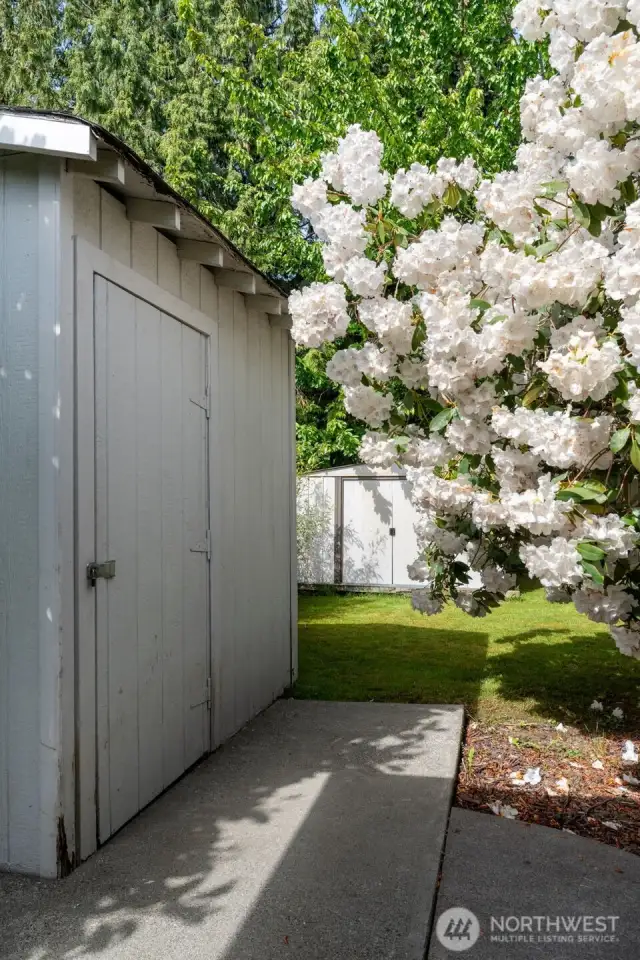 Backyard outbuilding