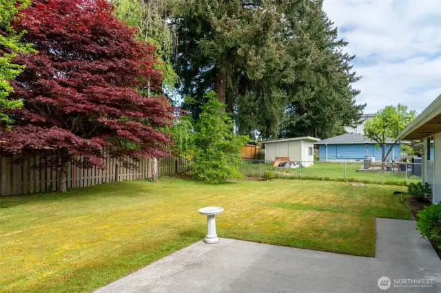 Fenced and level backyard