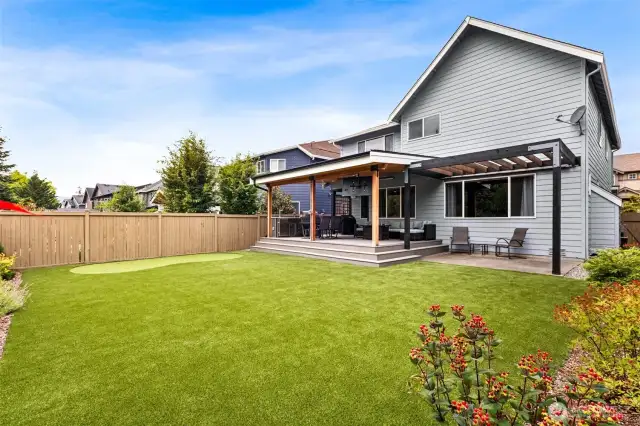 Low maintenance turf backyard