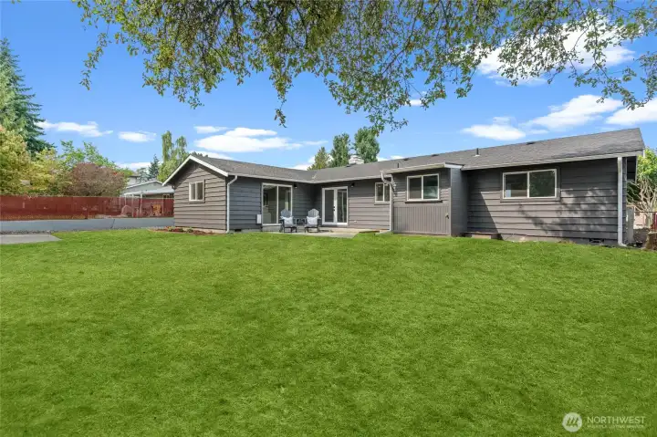 This photo, edited with grass offers a glimpse of what this yard could be with a little TLC.