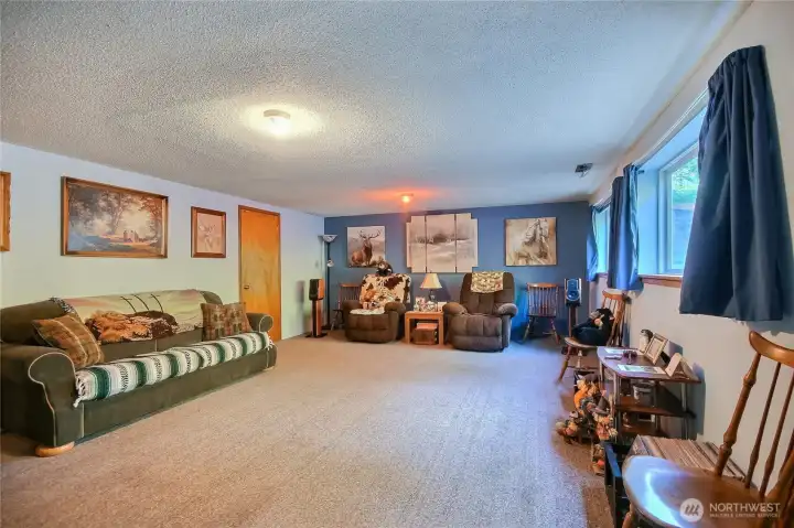 Family-room downstairs