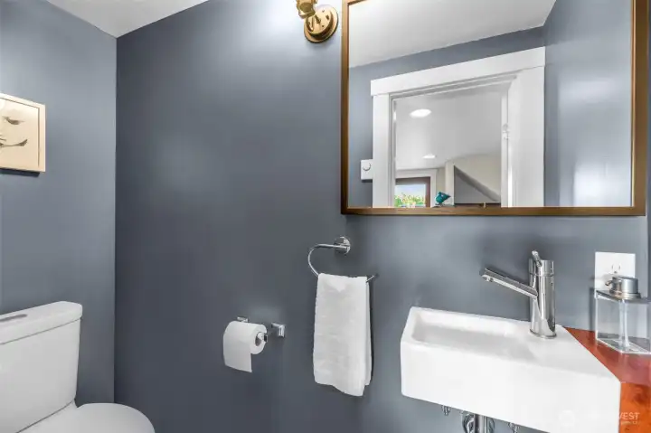 Lower level Powder room