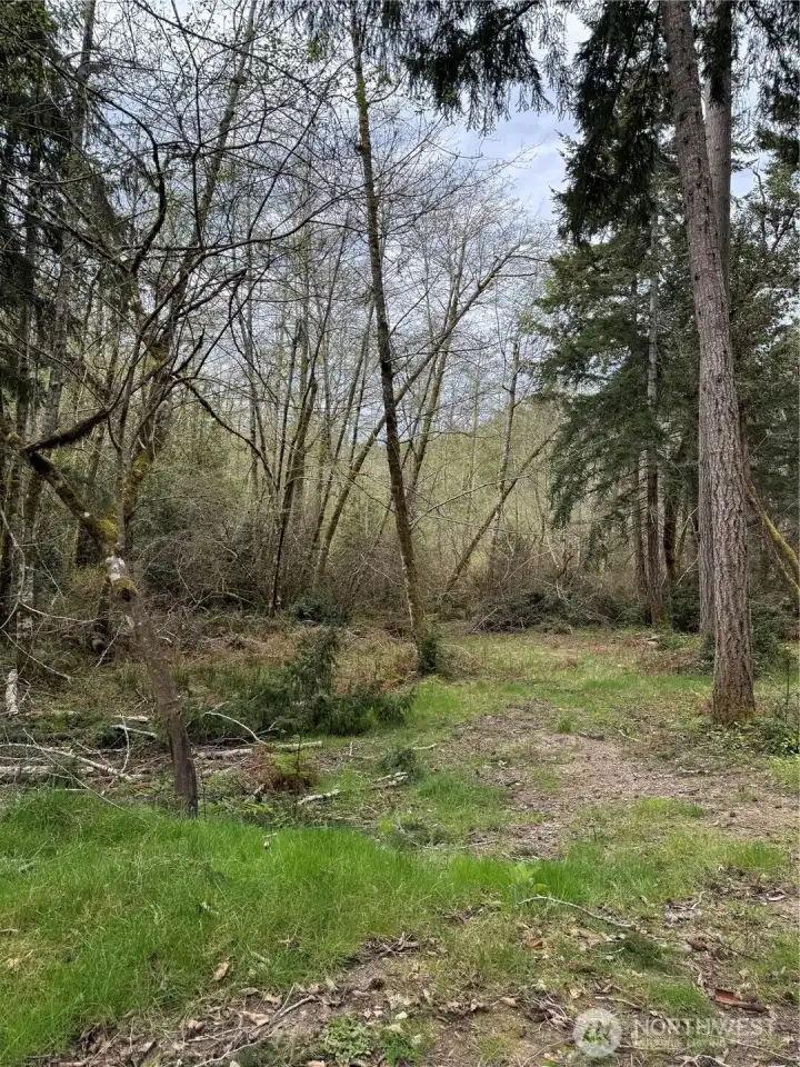 Looking into Property from Front