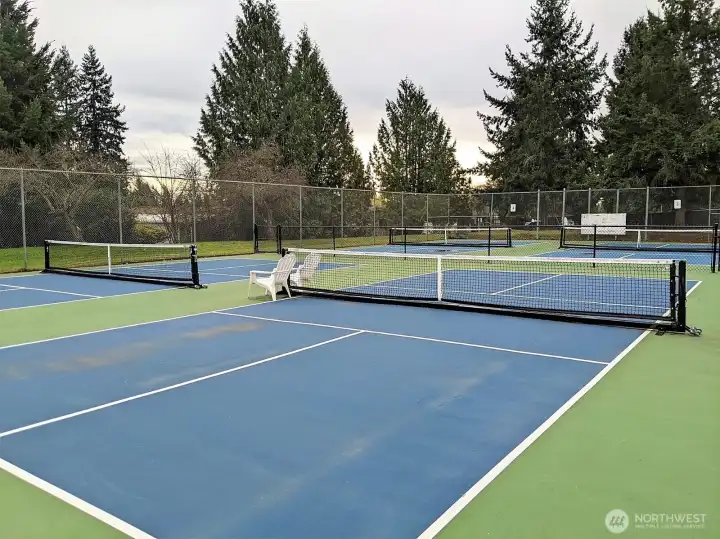 Pickle ball