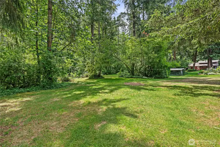 Acreage that envelopes you and the quiet sounds around. Beautiful tree cover and fruit trees too!