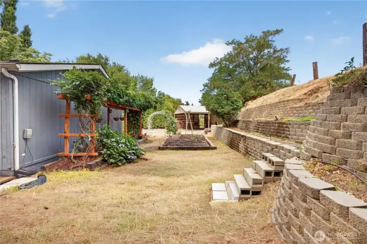 Side Yard
