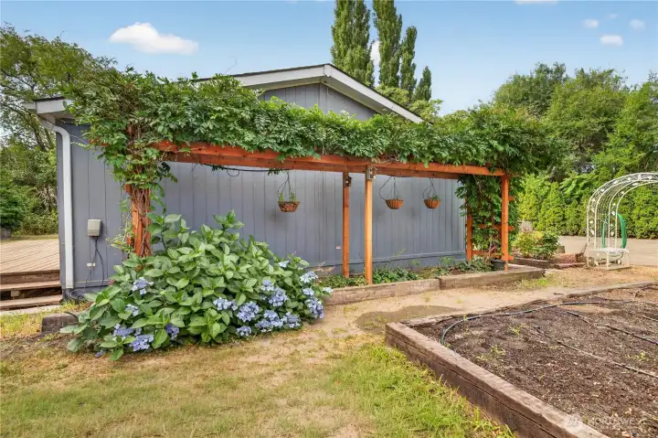 Side Yard