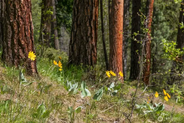 Natural Beauty, Solitude, Lifestyle