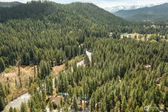Nestled in the Pines, Privacy, Solitude Discovered