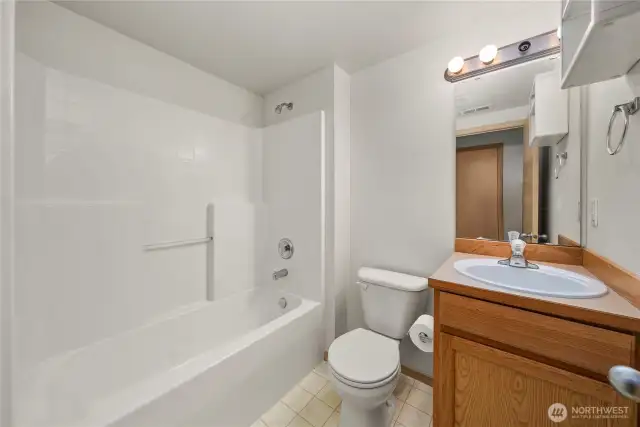 Lower level full bathroom