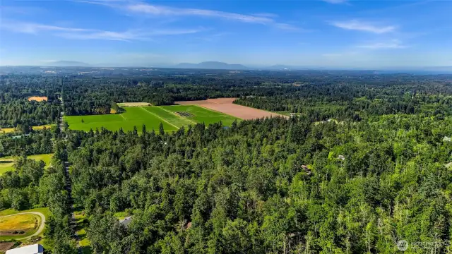 Gorgeous view potential  from main living space with some tree topping