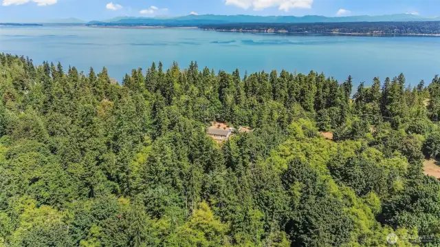 Enjoy exploring your secluded 12.88 acres that can be subdivided into 2 parcels.