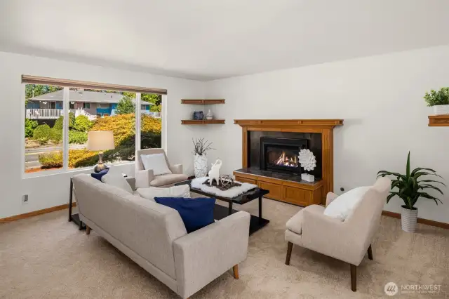 Gas fireplace in living room.
