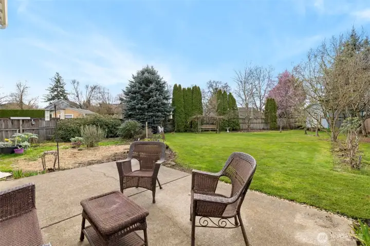 Back yard/patio area