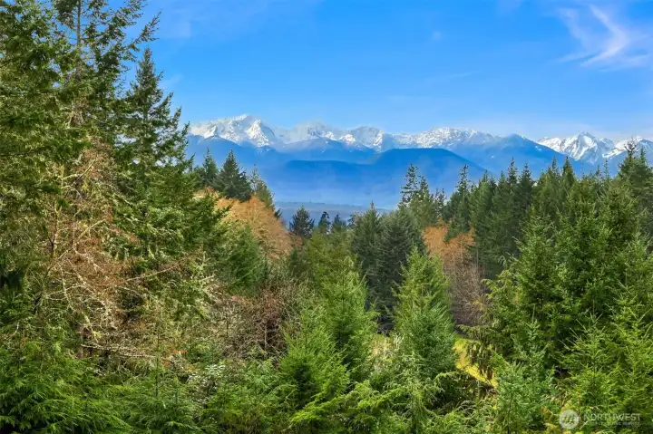 Views from the deck that runs the length of the entire west side of the house.