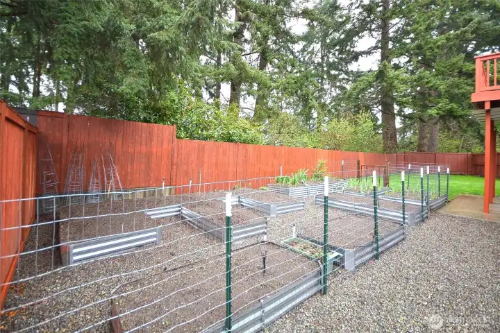 Spacious garden with automated irrigation to keep plants healthy and vibrant.