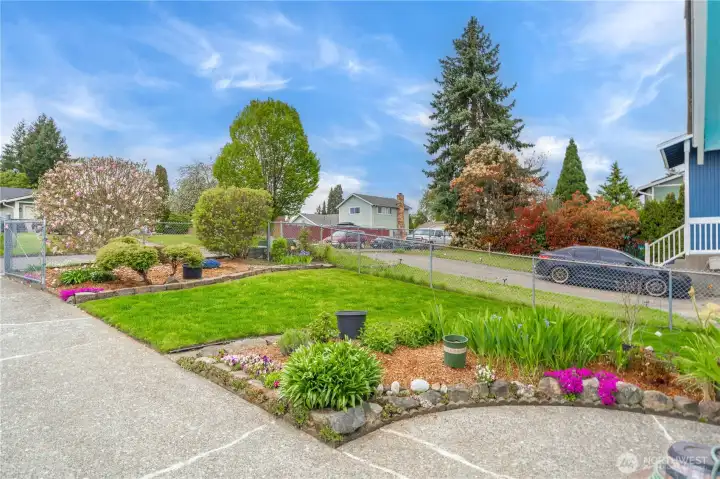 Lovely garden beds in front