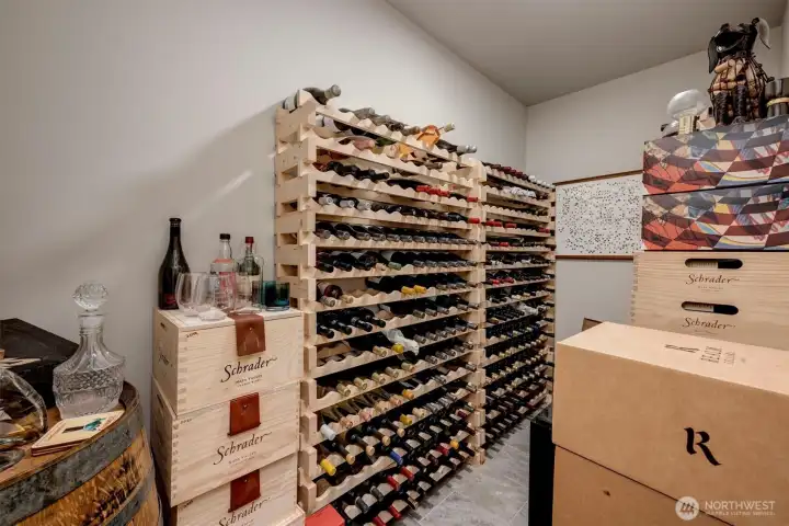 So many storage rooms in lower level. This one being used for wine. Racks may stay if new buyer wants them! So many storage rooms in lower level. This one being used for wine. Racks may stay if new buyer wants them!