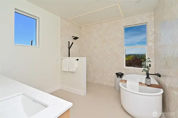 Plus separate soaking tub. Plus separate soaking tub.