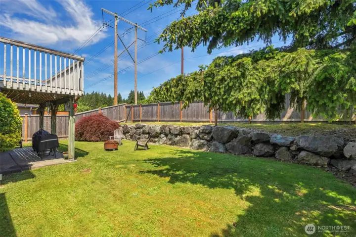 Backyard side shot
