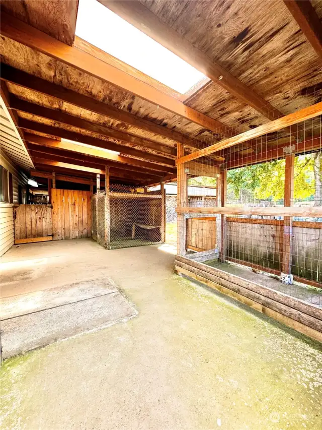 Patio and kennels