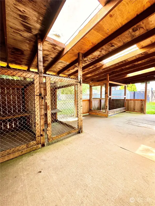 Patio and kennels