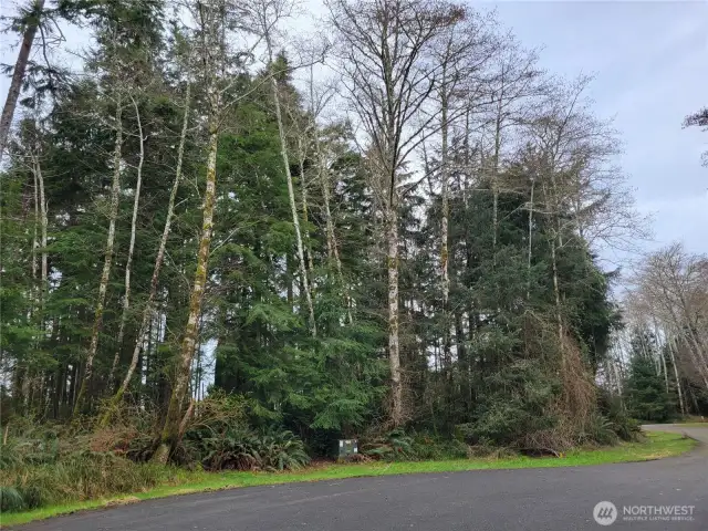 Prime cul-de-sac lot with entry from Hyde Ct on cul-de-sac or direct entry from Lakeview Loop, you choose!