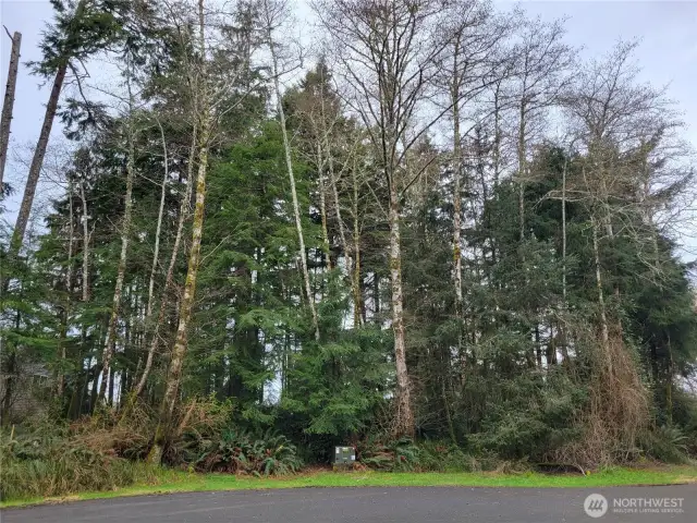 All utilities in street - lot may have marketable timber.