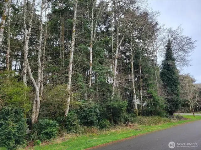 View from Lakeview Lp side of property!