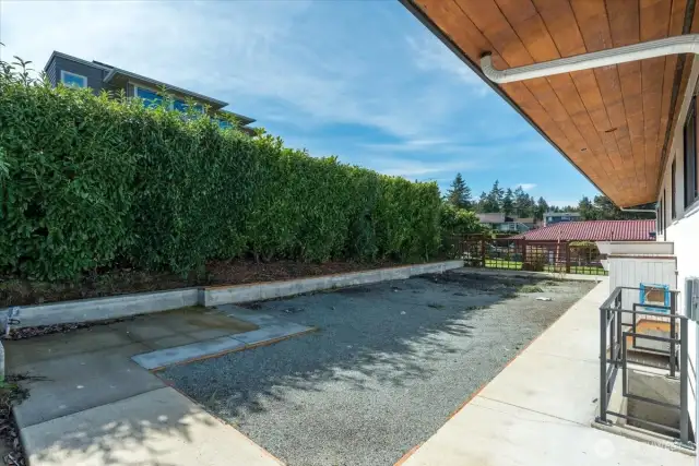 Backyard