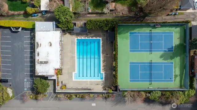 Community pool & courts