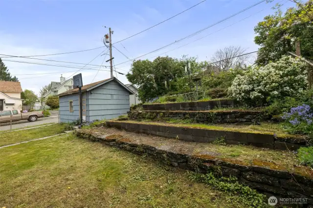 Garden space in backyard