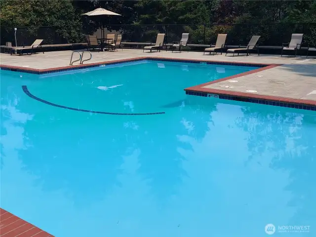 1 of 4 pools!