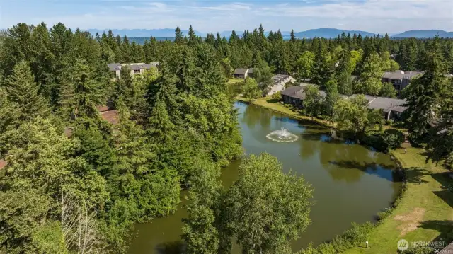 770 total homes in the private and forested community in the heart of the Eastside