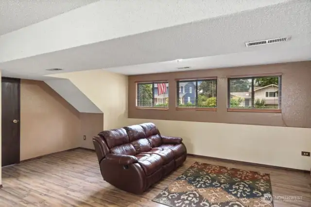 Great room for gatherings and movies