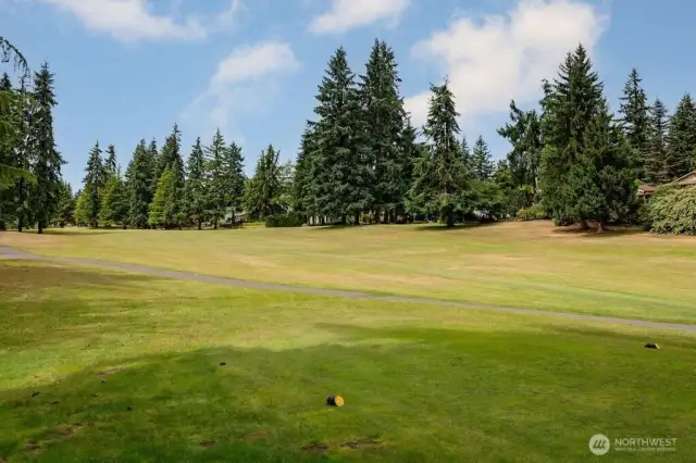 Beautiful views of the golf course