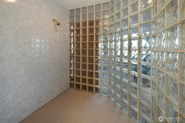 Primary Bathroom Shower