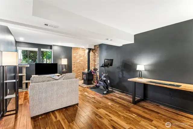 Lower Level Family Room