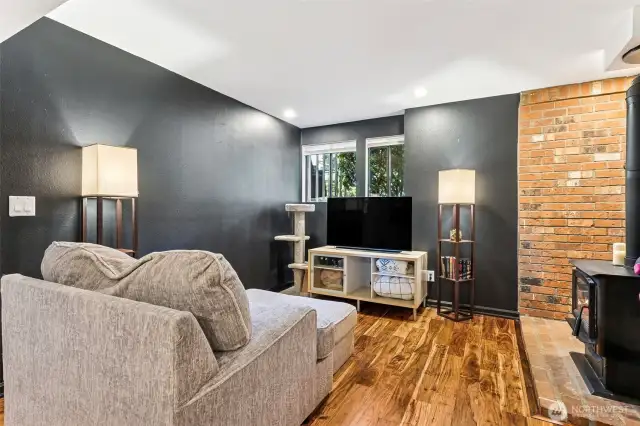 Lower Level Family Room