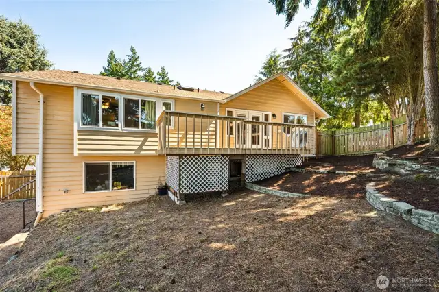 Backyard with Tons of Potential