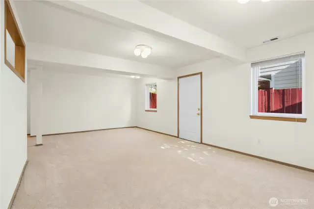 Daylight Basement Exterior Door