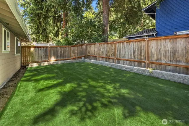 New Backyard Turf