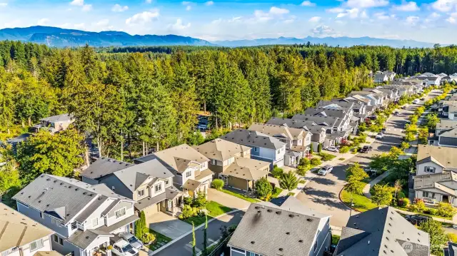 Aerial neighborhood view showcasing the scenic Black Diamond community, surrounded by lush greenery and close to parks, trails, and amenities.