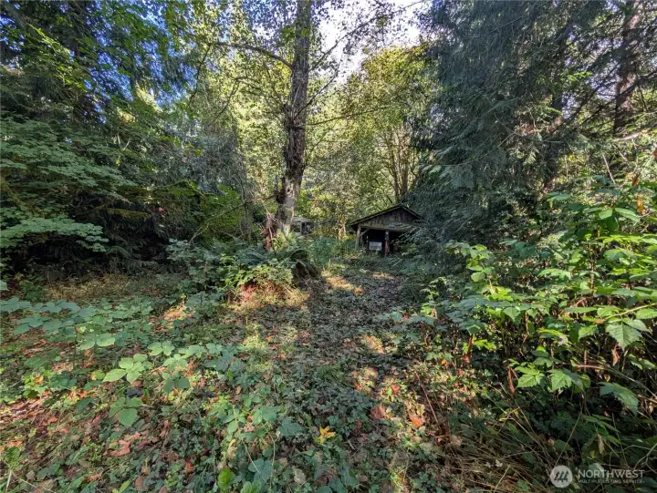 View from the back of the property looking towards the street.