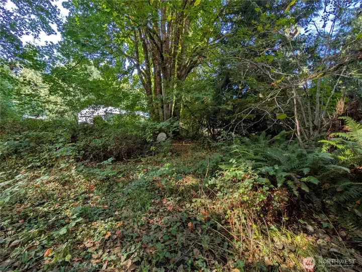 View looking towards neighbors.